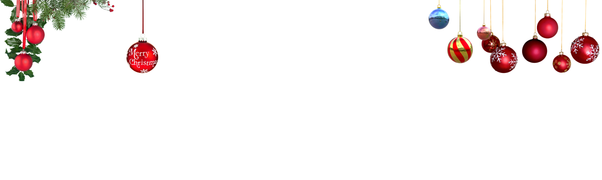 Bike n' Blend logo